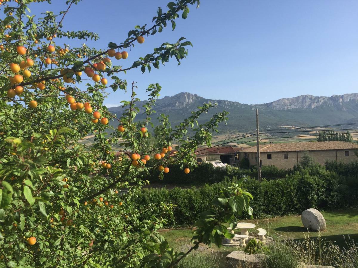 Гостевой дом Legado De Zabala, Casa Rural Лягвардиа Экстерьер фото